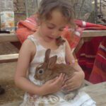 Hemdat Petting Zoo picture