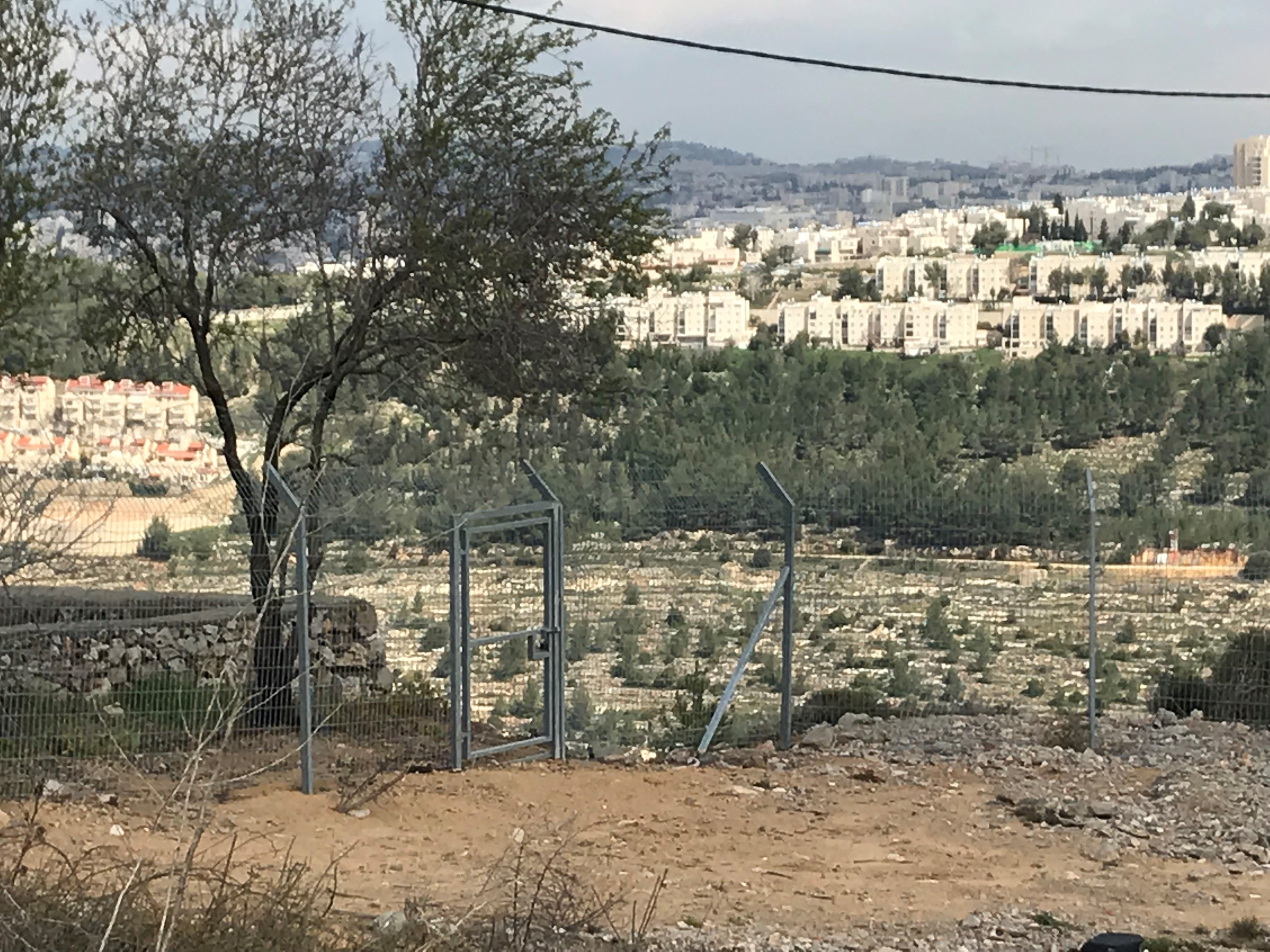 Looking into Jerusalem from Har Gilo.